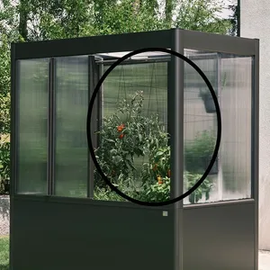 Biohort Rankhilfe zu Gewächshaus Florentina